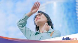 Proyeksi Terbaru Organisasi Internasional Ingatkan Suhu 5 Tahun Lagi Bisa Pecah Catatan