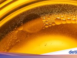 Pelumas Kendaraan Didalam Migas Nabati, Ini Pembaharuan Guru Besar UI