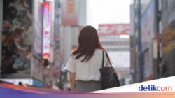 Jepang Umumkan Lowongan Magang Ke UKM, Mahasiswa-Lulusan Kampus RI Bisa Daftar