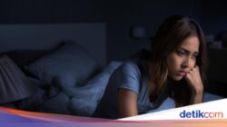 Kenapa Kita Bermimpi? Studi Mutakhir Ungkap Cara Otak Susun Cerita Pada Tidur