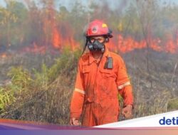 Waspada Karhutla Di Kemarau 2026, Pakar UGM Soroti Praktik Bakar Lahan