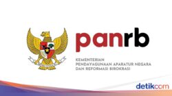 KemenPANRB Buka Magang buat Pelajar-Fresh Graduate, Daftar Ke Sini!
