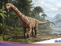 Peneliti Temukan Dinosaurus ‘Aneh’ Ke Bangsa Ini, Seperti Apa Bentuknya?