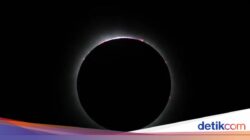 Gerhana Matahari Total Bakal Terjadi 12 Agustus, Bisa Dilihat Bersama Mana?