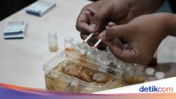 Inovatif, Peneliti ITS Ciptakan Alat Deteksi Kandungan Energi Babi Untuk Makanan