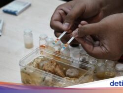 Inovatif, Peneliti ITS Ciptakan Alat Deteksi Kandungan Energi Babi Untuk Makanan