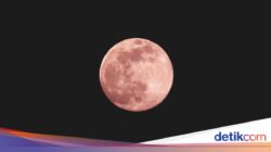 Geger Roket SpaceX Diprediksi Tabrak Bulan Di 5 Agustus 2026, Ini Kata Ilmuwan