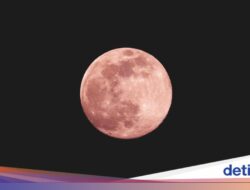 Geger Roket SpaceX Diprediksi Tabrak Bulan Di 5 Agustus 2026, Ini Kata Ilmuwan