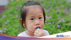 Benarkah Anak Sering Tantrum Lantaran Dampak Jajanan Manis? Ini Kata Studi