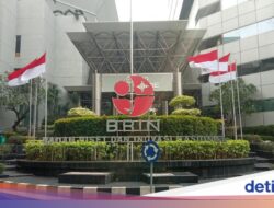 BRIN Buka Potensi Magang S1-Pemberian Dana Belajar S2-S3
