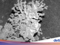 Mars Dulunya Berair tapi Hilang Begitu Saja, Ilmuwan Ungkap Dugaan Penyebabnya