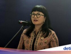 Banyak Cabang Kampus LN Ke RI, Wamen Stella: Bantu Tambah Dana Kajian