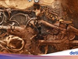 Potret 18 Makam Era Mesir Kuno yang Mutakhir Ditemukan, Ada Kerangka & Lidah Emas