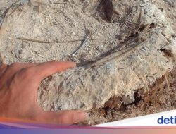 Kotoran Burung Didalam Sebab Itu Kekuatan, Bikin Kerajaan Ini Makmur
