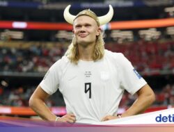 Pesepak Bola Erling Haaland Beli Bacaan Sejarah Rp 2,4 Miliar, Apa Isinya?