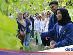 Inovatif, Mahasiswa ITS Ciptakan Pestisida Anti Air