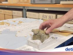 Dinosaurus Pertama Di Antartika Berhasil Diungkap, Seperti Apa?