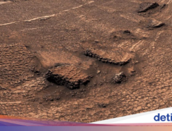 Wah! Ada Lanskap ‘Sarang Lebah’ Misterius Hingga Mars