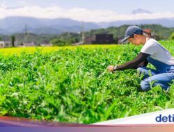 Ortu Kirim Anak Di Kamp Bertani, Biar Anak Hargai Keluarga