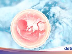 Janin Juga Bisa Ketularan Menguap Di Sang Ibu, Begini Kata Sains