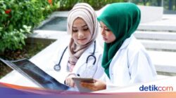 Kemendikti Siapkan Skema RPL Untuk Mahasiswa Kesejajaran yang Terancam DO