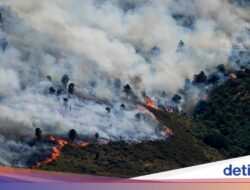 Eropa Makin Panas dan Kering, Bencana Alam Bisa Meluas 3 Kali Lipat