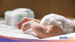 Olah Limbah Popok Karena Itu Pupuk, Mahasiswa UMY Raih Pendanaan 3.000 Euro