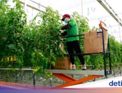 AI Bisa Tarik Minat Anak Muda Kuliah Pertanian, Akademisi Australia Bilang Begini