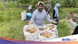 Sosok Rivan, Alumnus LPDP Bantu Petani Aceh Dapat Harga Panen Lebih Adil