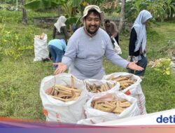Sosok Rivan, Alumnus LPDP Bantu Petani Aceh Dapat Harga Panen Lebih Adil