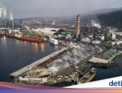 10 Negeri Terkaya Hingga Dunia Berdasarkan Sumber Daya Alamnya, Indonesia Nomor Berapa?