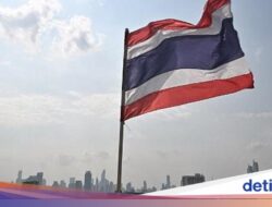 Ini Daftar Jurusan Kuliah Unggulan Hingga Tailan, Ada Kesejaganan-Ilmu Pengetahuan