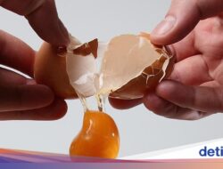Benarkah Banyak Makan Telur Bikin Bisul?
