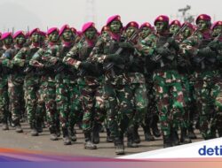 Daftar Jurusan yang Dibuka Di Rekrutmen Perwira PK TNI 2026, Ada Prodi Asalmu?