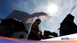 Panas Ekstrem Makin Sering Muncul Di Luar Musim, Ini Temuan Peneliti
