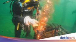 Pekerjaan Ini Bisa Digaji Rp 200 Juta per Bulan, Syaratnya Tak Perlu Gelar Sarjana!