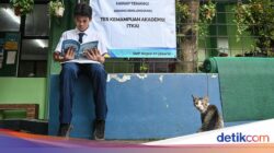 Skor Hasil TKA SMA Dari Sebab Itu 200-800, SD dan SMP Turut Berubah?