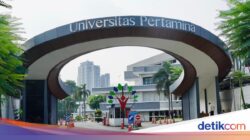Universitas Pertamina Buka Lowongan Dosen Tetap Fakultas Kedokteran, Ini Syaratnya