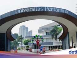 Universitas Pertamina Buka Lowongan Dosen Tetap Fakultas Kedokteran, Ini Syaratnya