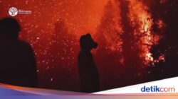 Ini Alasan Karhutla Ke Sumatera-Kalimantan Sulit Padam Menurut Pakar UGM
