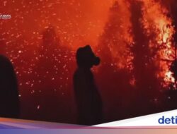 Ini Alasan Karhutla Ke Sumatera-Kalimantan Sulit Padam Menurut Pakar UGM
