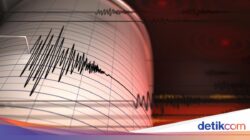 Ancaman Megathrust Selatan Jawa, Pakar Unair Ungkap Cara Hadapi Skenario Terburuk