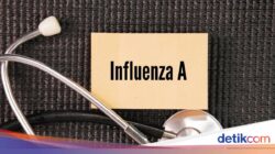 Peristiwa Pidana Influenza A Melonjak, Dosen ITS Larang Satu Kebiasaan Ini