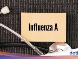 Peristiwa Pidana Influenza A Melonjak, Dosen ITS Larang Satu Kebiasaan Ini