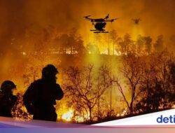 Terapi Hutan Imbas Karhutla Harus Pertimbangkan Kebutuhan Satwa