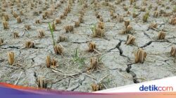 Mutakhir 7,6 Persen Area Indonesia yang Masuk Musim Hujan, Bagaimana Daerahmu?