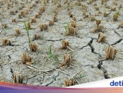 Mutakhir 7,6 Persen Area Indonesia yang Masuk Musim Hujan, Bagaimana Daerahmu?