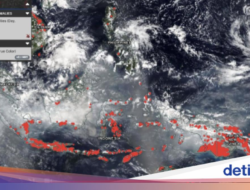 Update! Potret Penampakan Karhutla Indonesia Bersama Udara Pantauan NASA