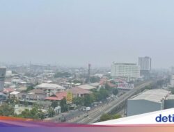 Gegara Kabut Asap Karhutla, Mahasiswa Unhas Keluhkan Mata Perih-Sesak Napas