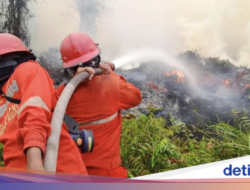 BRIN Siapkan Operasi Modifikasi Cuaca Sebagai Penanganan Karhutla, Ini yang Dilakukan